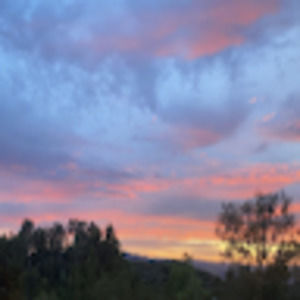 Meet your Posher, Milan